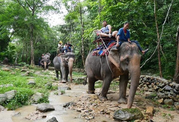 elephant trekking Koh Samui