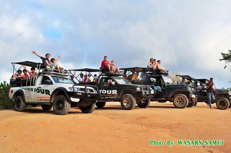 Major Safari Program A (No Elephant Trekking)