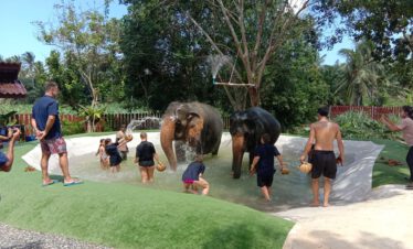 Samui Elephant Home