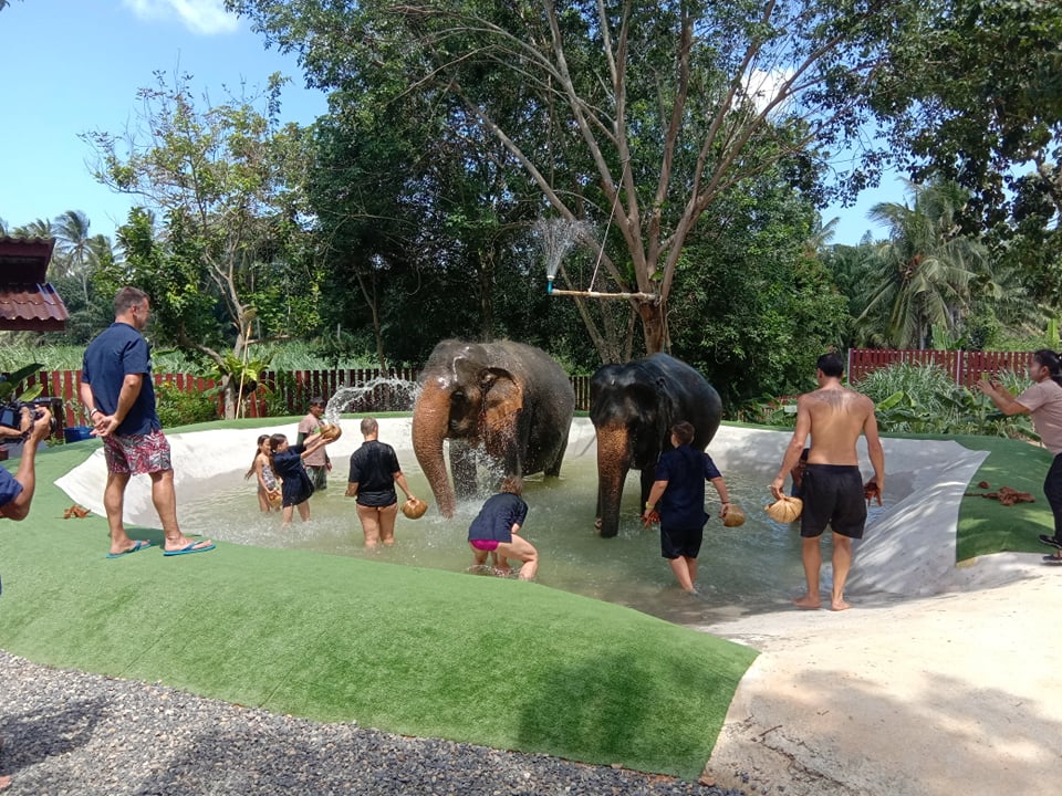 Samui Elephant Home