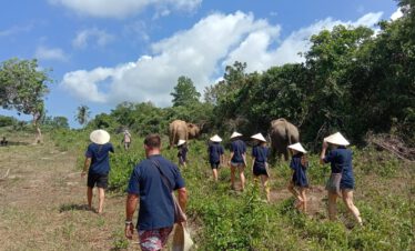 Samui Elephant Home