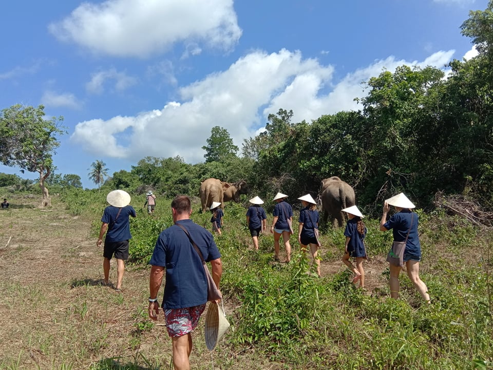 Samui Elephant Home