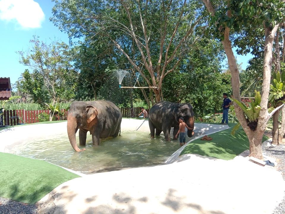 Samui Elephant Home